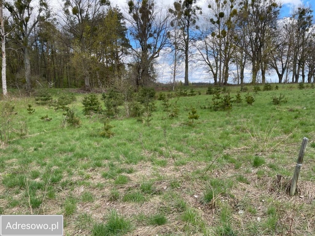 Działka budowlana Kleszczewo. Zdjęcie 7