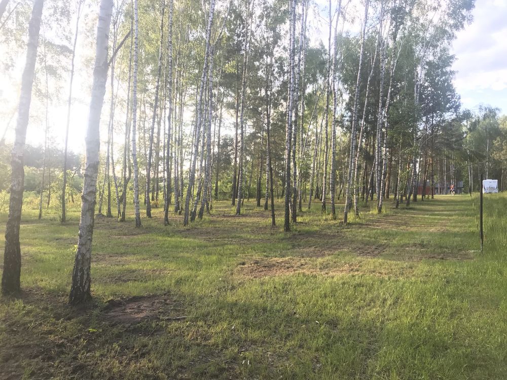 Działka budowlana Korczew. Zdjęcie 6