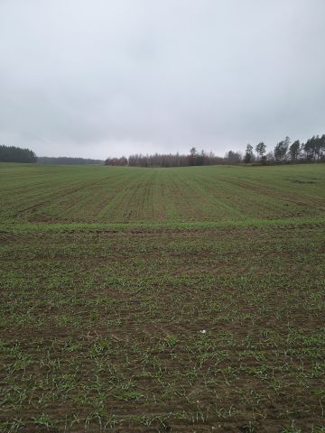 Działka budowlana Kałęczyn. Zdjęcie 1