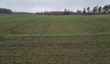 Działka budowlana Kałęczyn