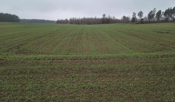 Działka budowlana Kałęczyn