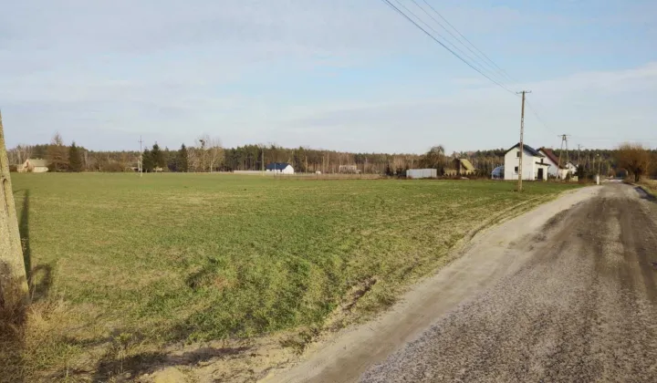 Działka rolno-budowlana Rejna