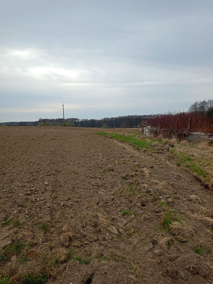 Działka rolno-budowlana Przybiernów, al. Wojska Polskiego. Zdjęcie 2
