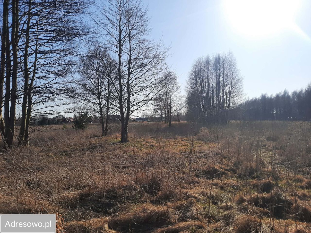 Działka rolno-budowlana Łuków, ul. Poważe. Zdjęcie 1