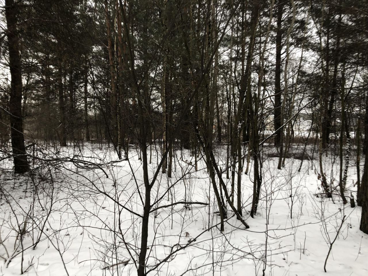 Działka budowlana Ostrowik, Marsa. Zdjęcie 2