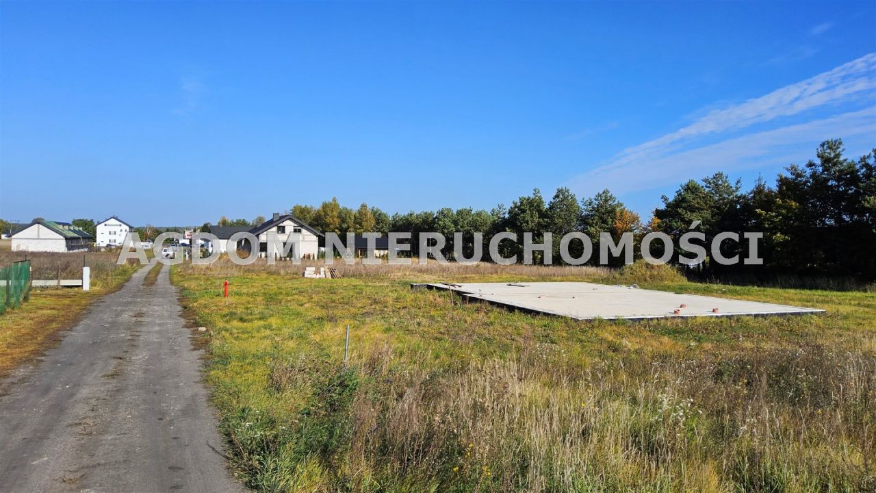 Działka Grodztwo. Zdjęcie 3