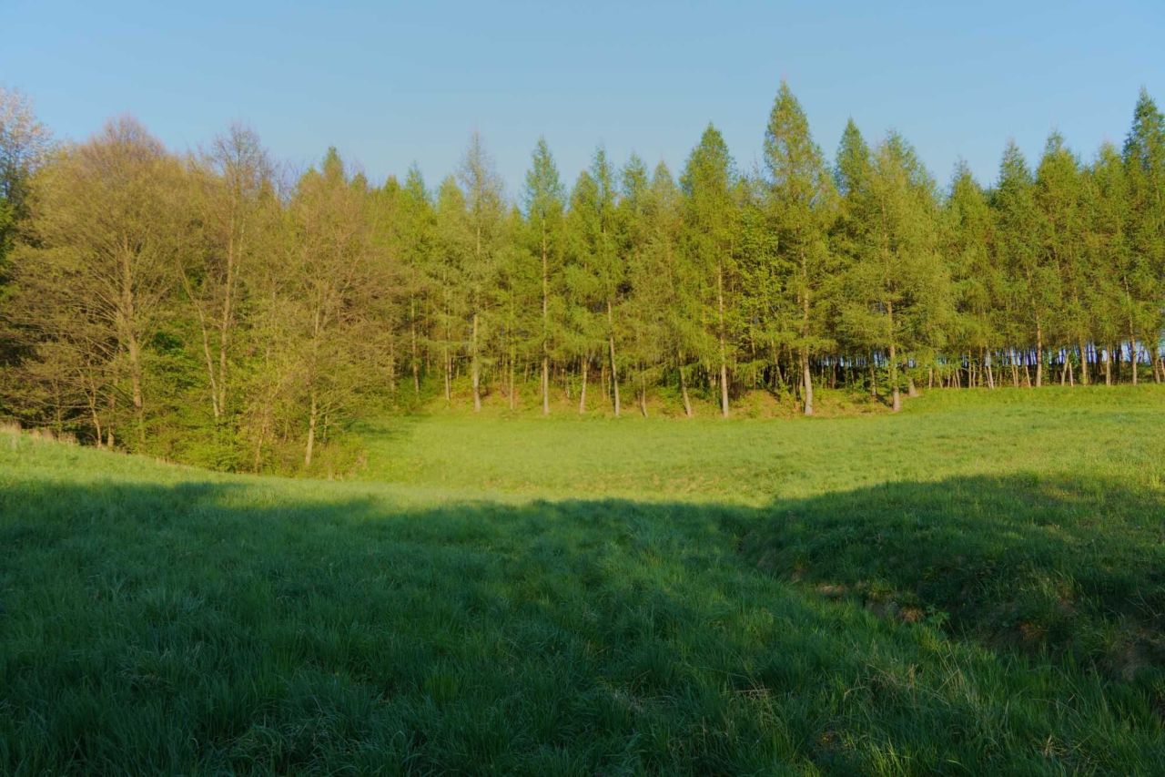 Działka rolno-budowlana Tuchów, ul. bp. Leona Wałęgi. Zdjęcie 8