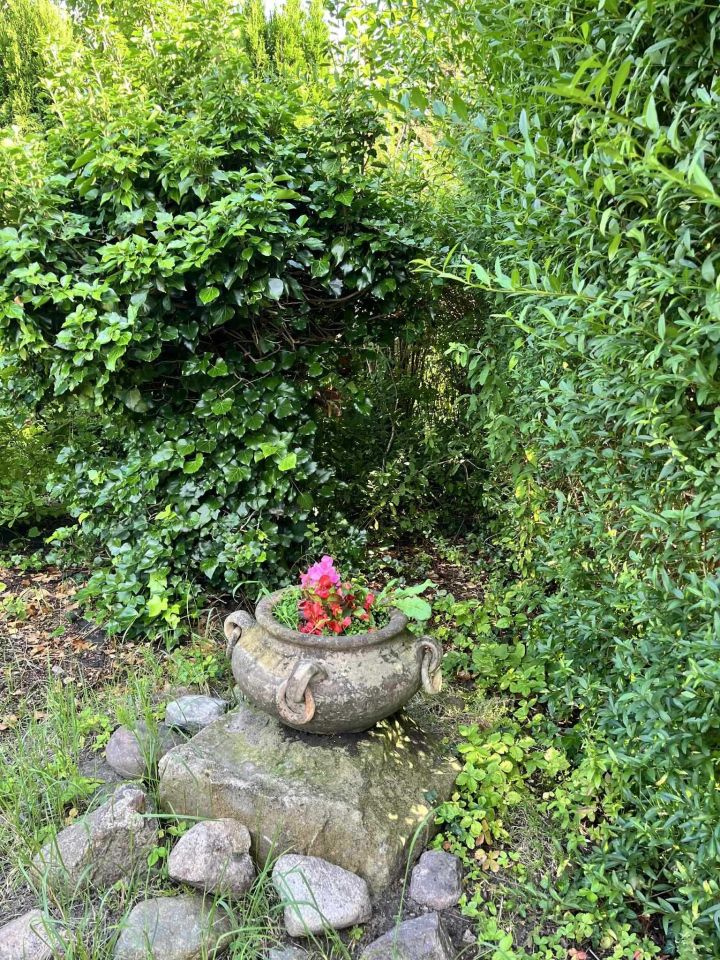 Działka rod Łódź Retkinia, ul. Krańcowa. Zdjęcie 8