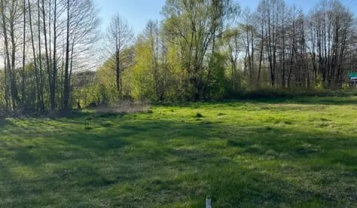 Działka rolno-budowlana Budy Wolińskie, Budy Wolińskie