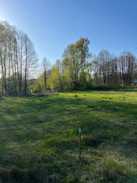 Działka rolno-budowlana Budy Wolińskie, Budy Wolińskie. Zdjęcie 1