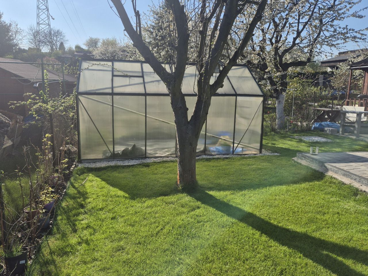 Działka rekreacyjna Jastrzębie-Zdrój, ul. Stodoły. Zdjęcie 5