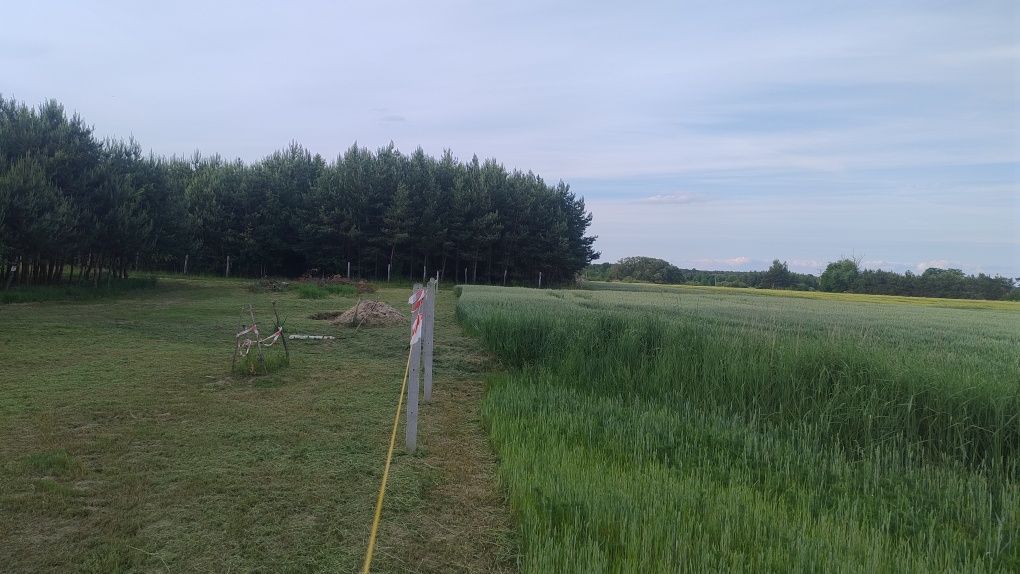 Działka rolna Błota. Zdjęcie 2