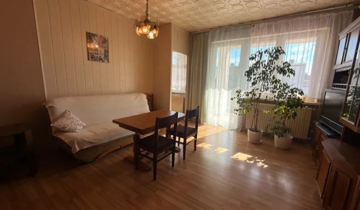 bliźniak Brzeziny, ul. Sasanek