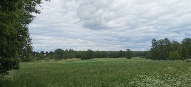 Działka rolna Jankowo Dolne. Zdjęcie 1