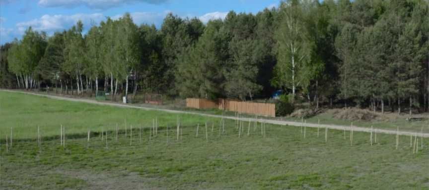 Działka rekreacyjna Rogóźno. Zdjęcie 6