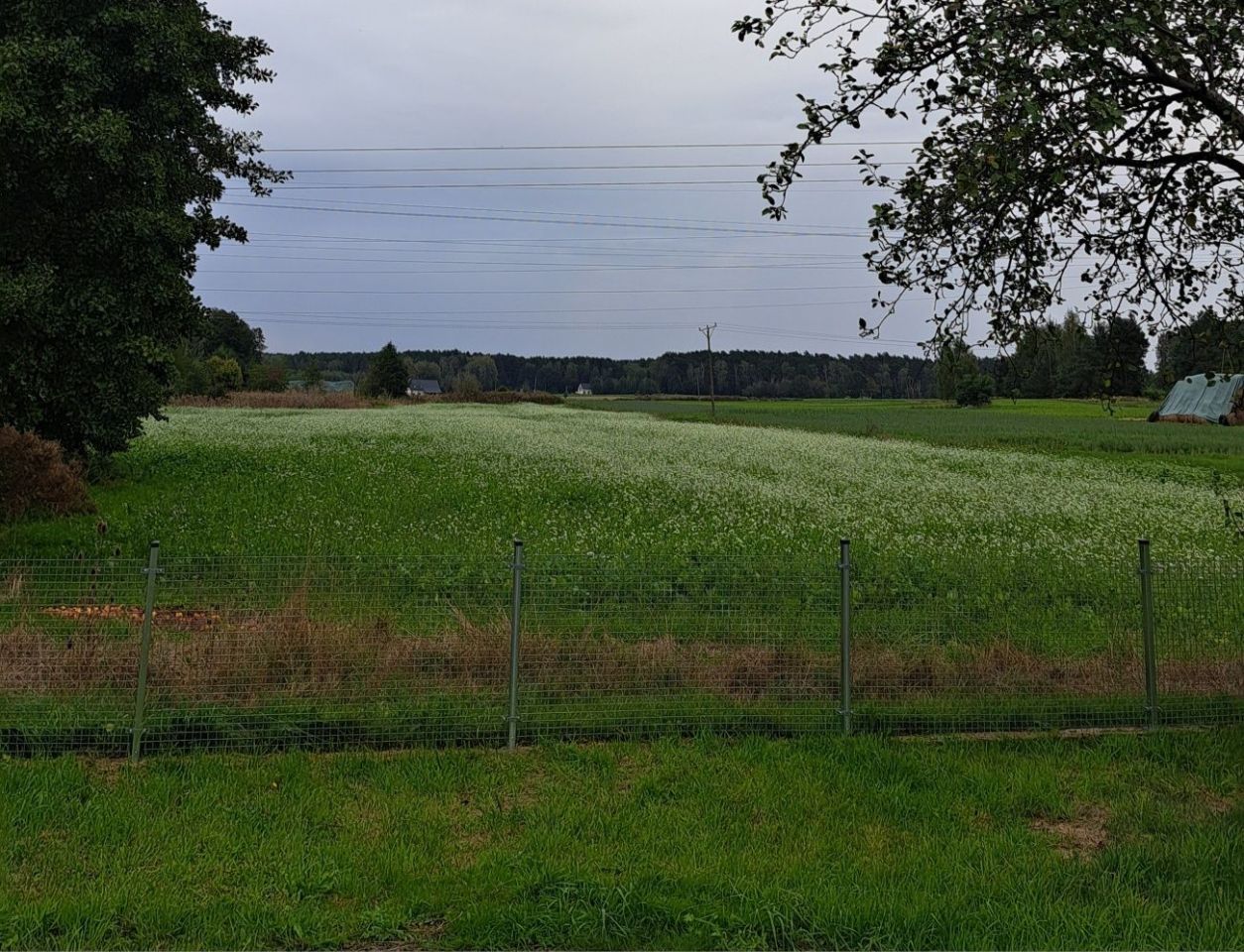 Działka budowlana Ostrzeszów, ul. Grabowska. Zdjęcie 6