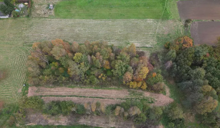 Działka budowlana Wodzisław Śląski, ul. ks. kard. Bolesława Kominka