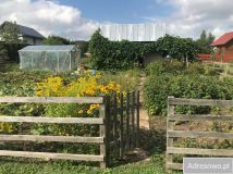 Działka rod Kuków. Zdjęcie 3