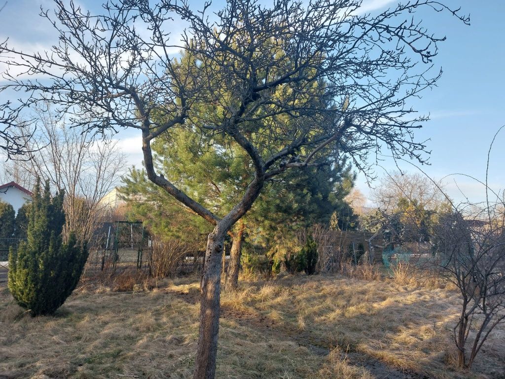 Działka rod Bydgoszcz Szwederowo, ul. Bielicka. Zdjęcie 3