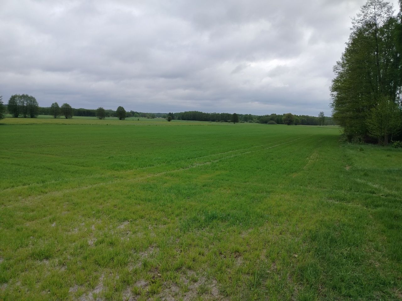 Działka budowlana Postękalice. Zdjęcie 6