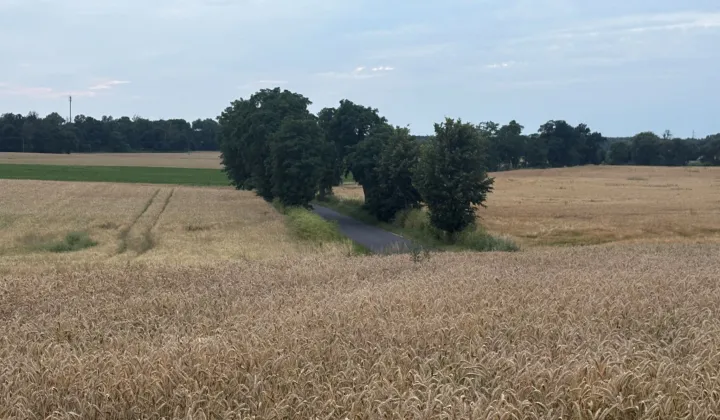 Działka budowlana Brzeźno, ul. Kolejowa