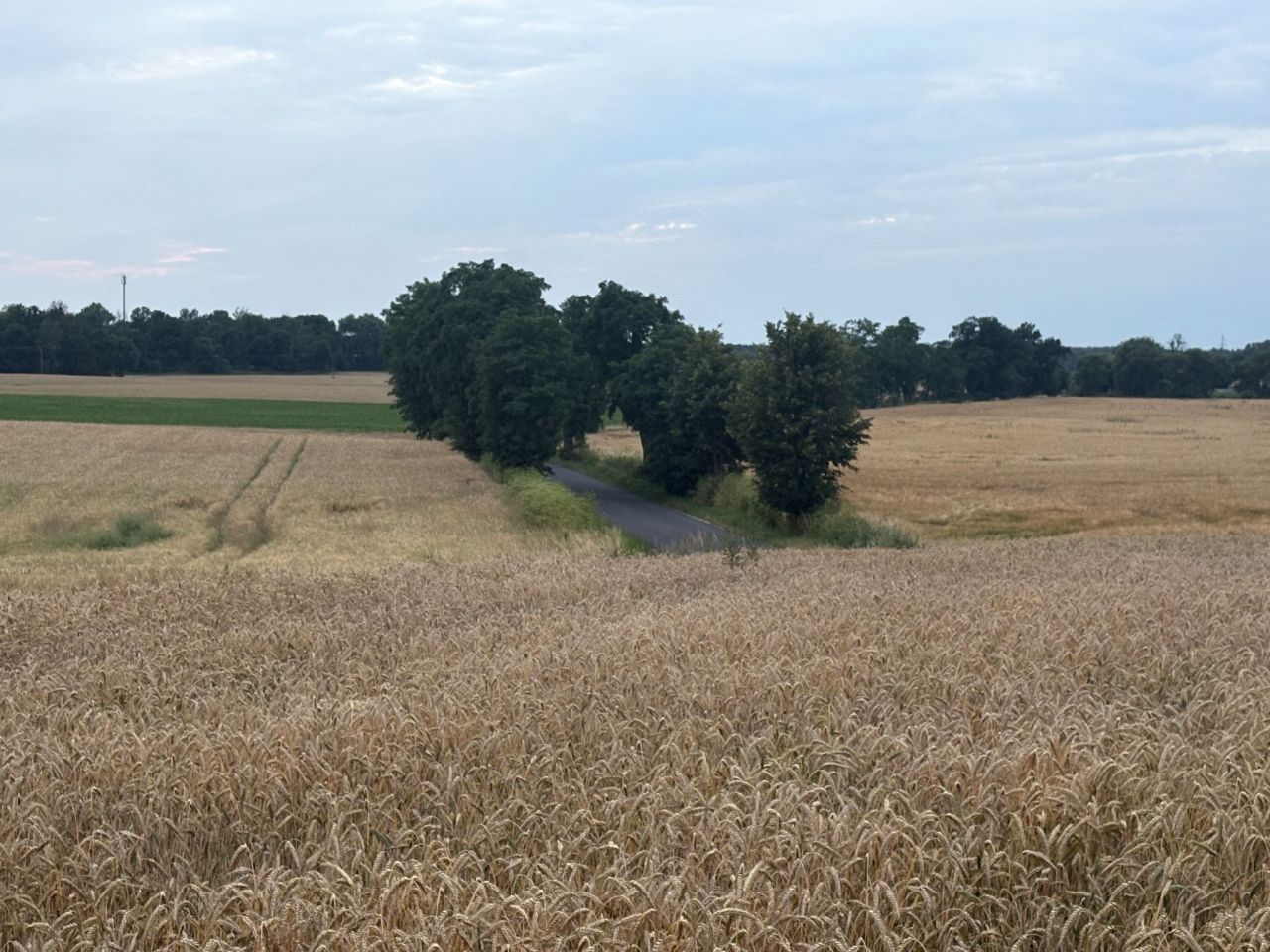 Działka budowlana Brzeźno, ul. Kolejowa. Zdjęcie 1