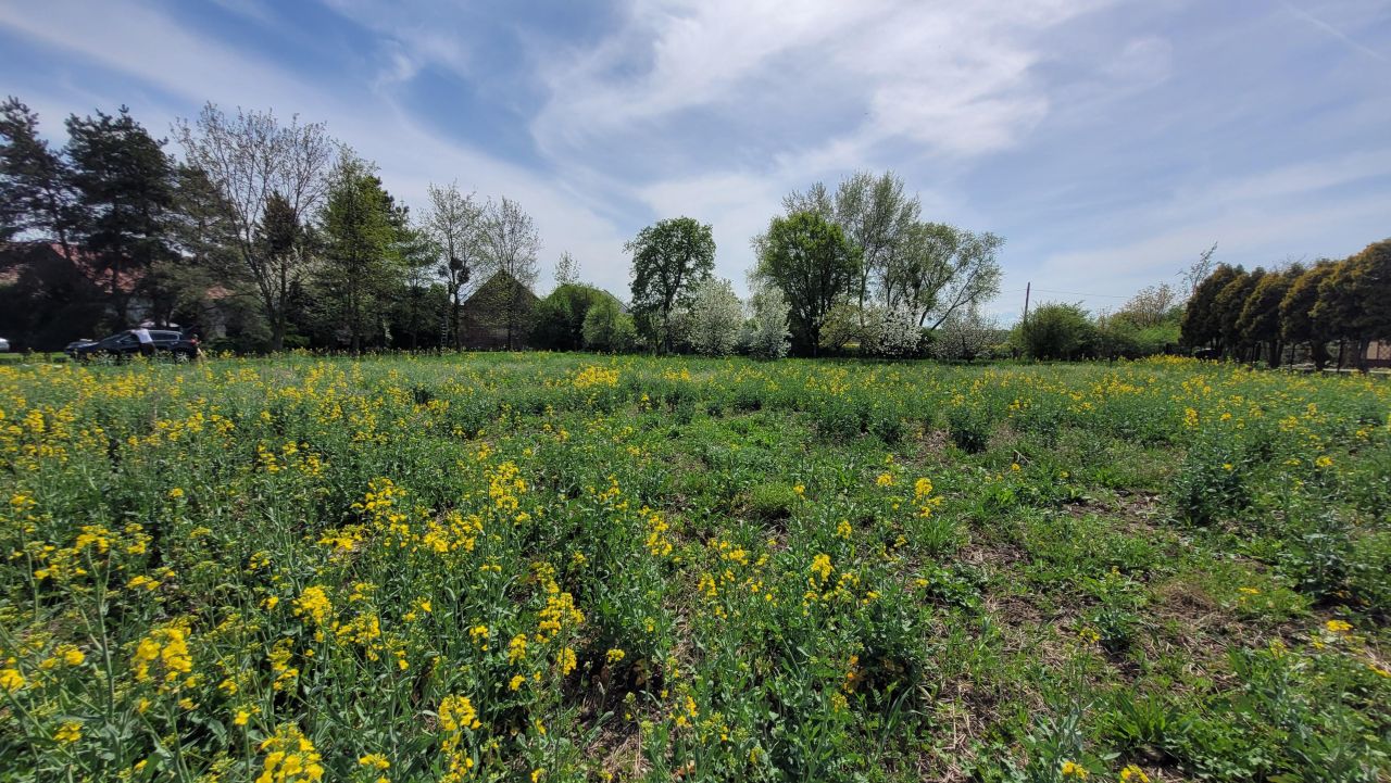 Działka rolno-budowlana Michałów. Zdjęcie 14