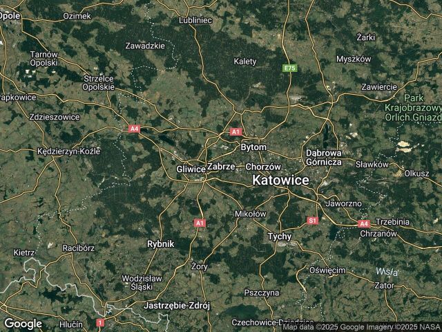 Działka rod Zabrze Biskupice, ul. Młodego Górnika. Zdjęcie 1