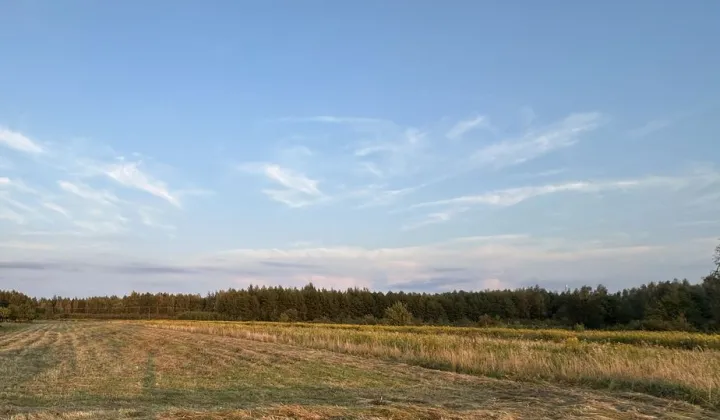 Działka budowlana Przedbórz