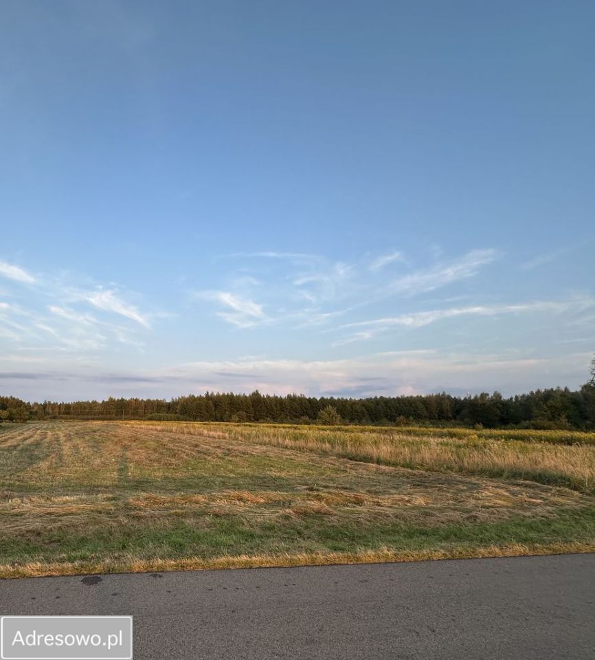 Działka budowlana Przedbórz. Zdjęcie 1