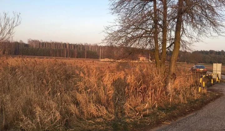 Działka budowlana Holendry Dobrowskie