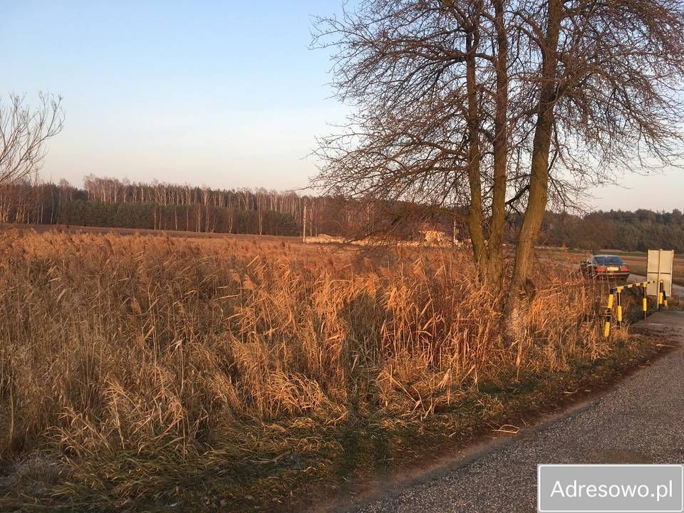 Działka budowlana Holendry Dobrowskie. Zdjęcie 1