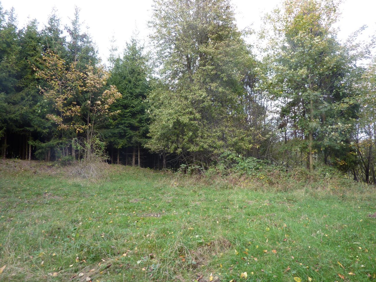 Działka rolna Pewel Wielka Garleje. Zdjęcie 11