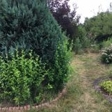 Działka rod Wrocław Stare Miasto, ul. Góralska. Zdjęcie 2