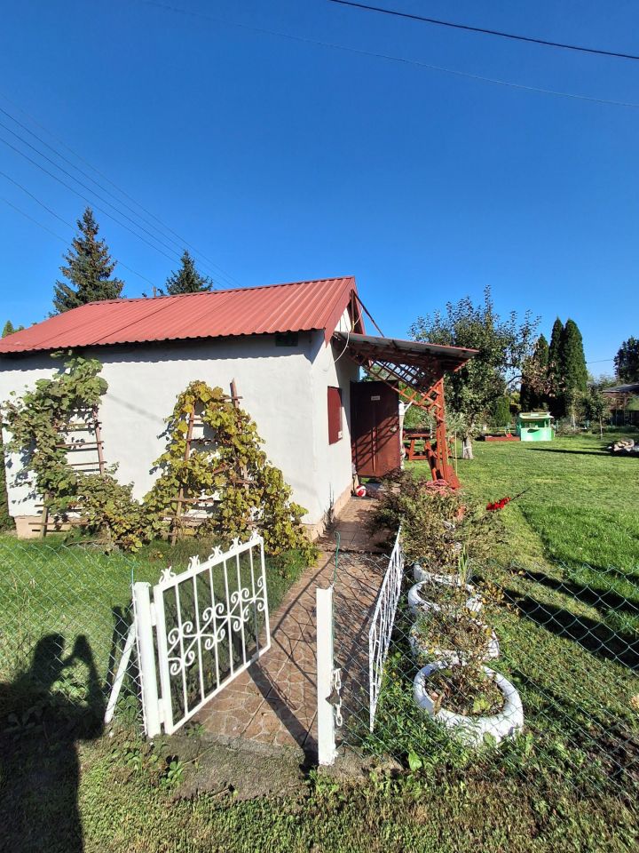 Działka rod Mława, ul. Wójtostwo. Zdjęcie 6