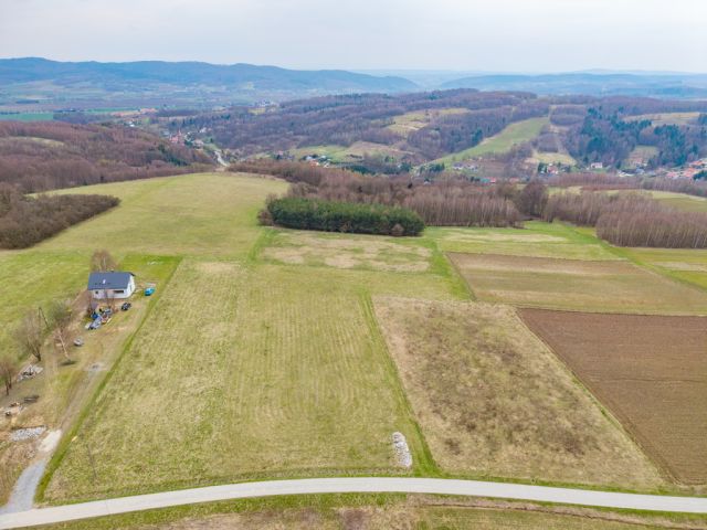 Działka budowlana Niewodna. Zdjęcie 11