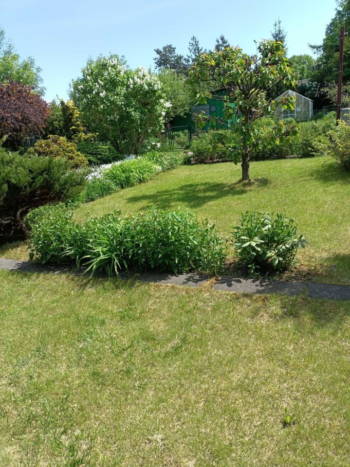 Działka rod Łódź Górna. Zdjęcie 5