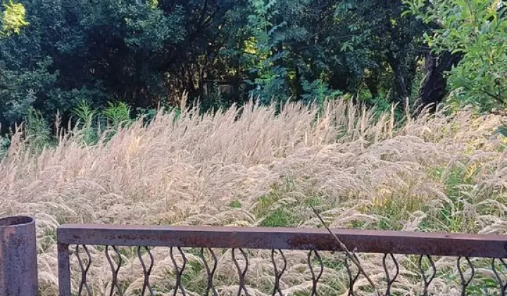 Działka inwestycyjna Orzesze, ul. św. Wawrzyńca