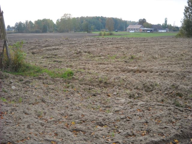 Działka rolna Nowy Bukowiec. Zdjęcie 1
