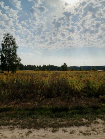 Działka budowlana Gosławice Zalesie. Zdjęcie 1