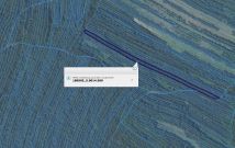 Działka leśna Ruda Różaniecka. Zdjęcie 1