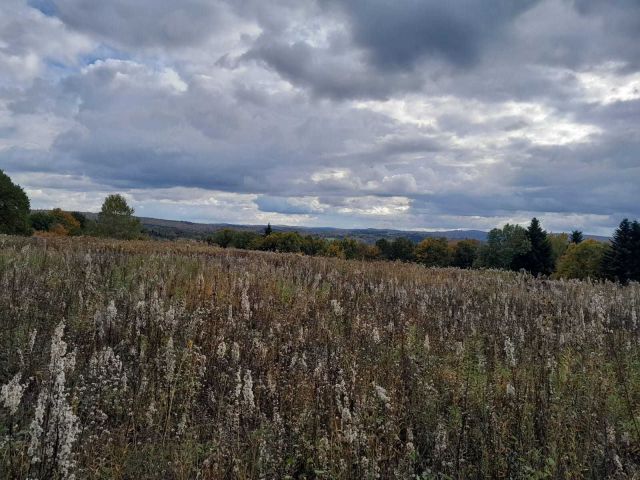 Działka rolna Średnia. Zdjęcie 1