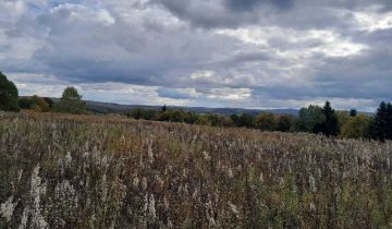 Działka rolna Średnia