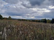 Działka rolna Średnia