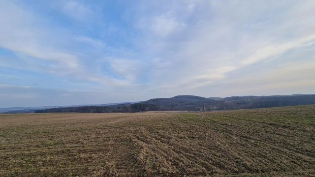 Działka budowlana Piława Górna. Zdjęcie 1