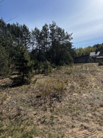 Działka rekreacyjna Dzbądzek. Zdjęcie 5