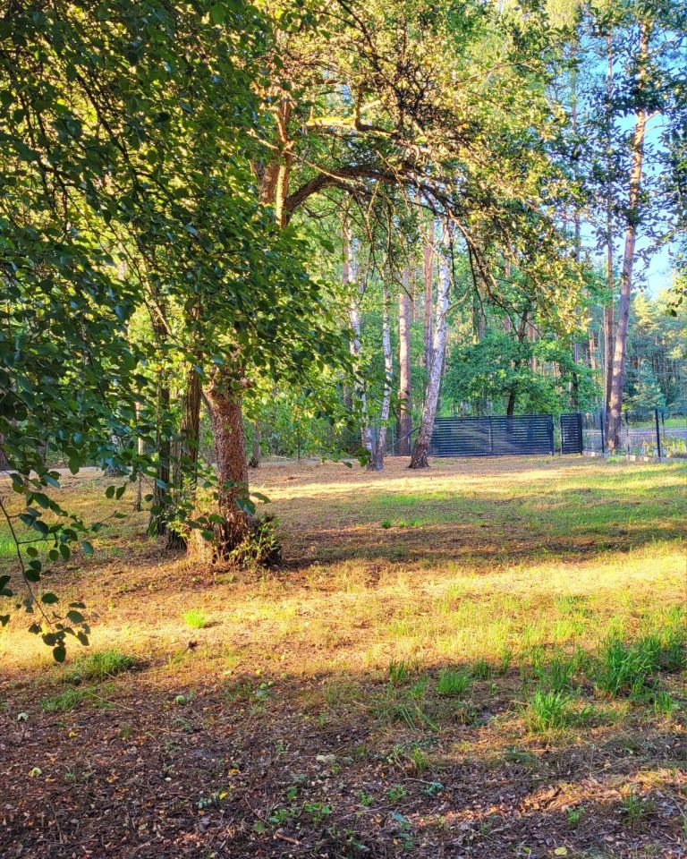 Działka budowlana Budy Mszczonowskie, ul. Leśna