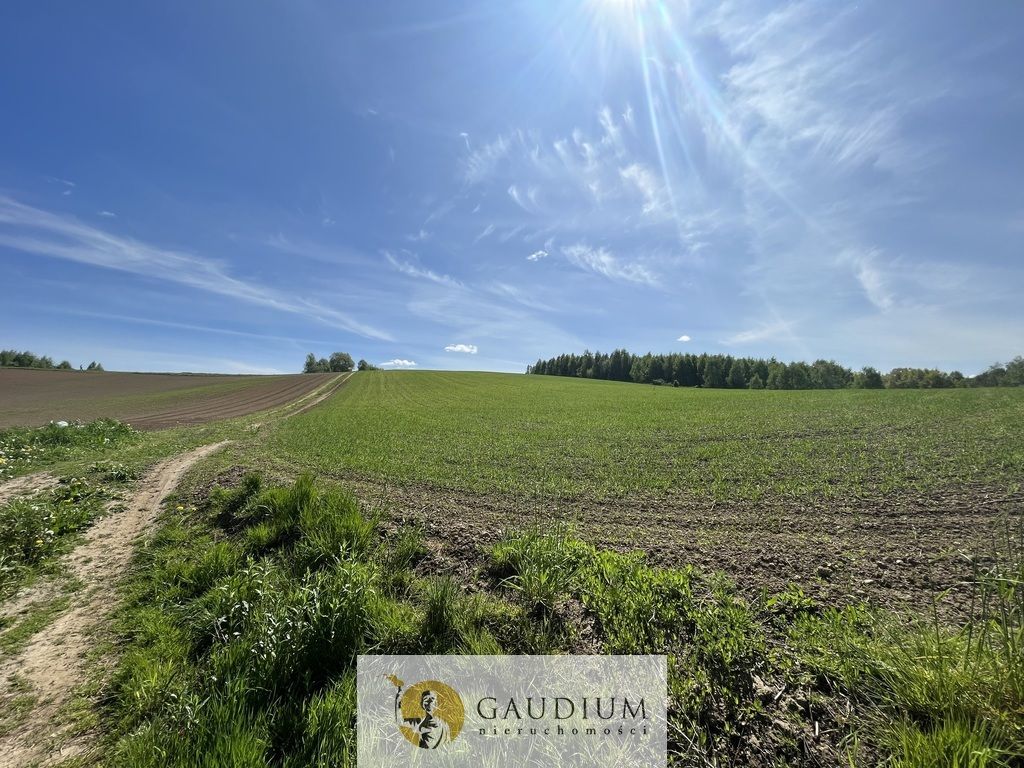 Działka Zła Wieś. Zdjęcie 2
