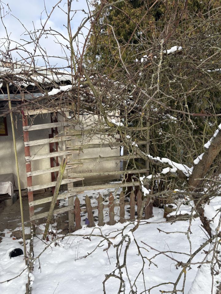 Działka rod Sulechów, ul. Gajowa. Zdjęcie 15