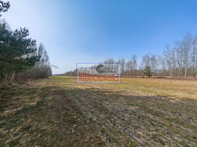 Działka budowlana Grabina. Zdjęcie 8